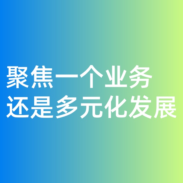 鈀碳回收, 聚焦一個(gè)業(yè)務(wù)，還是多元化發(fā)展